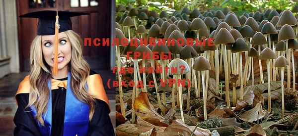 MDMA Алзамай