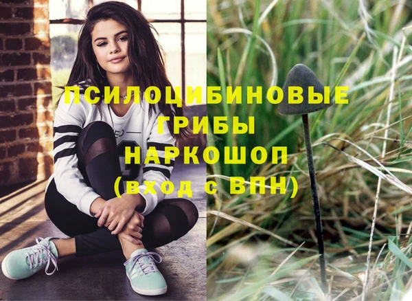 индика Армянск