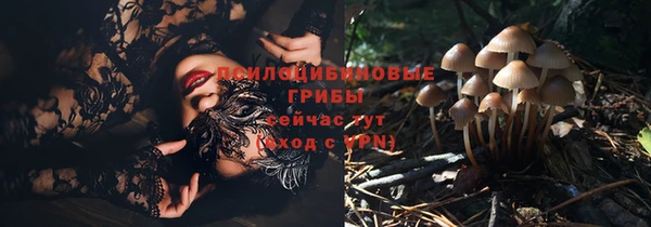 индика Армянск